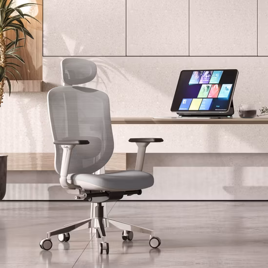Executive Office Chair CEO Chair Swivel Ergonomic Chair with 3D Armrest